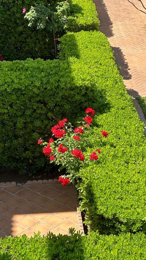 La Rosaleda 17 Lägenhet Denia Exteriör bild