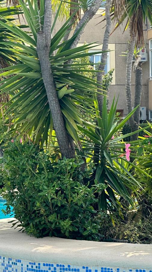 La Rosaleda 17 Lägenhet Denia Exteriör bild