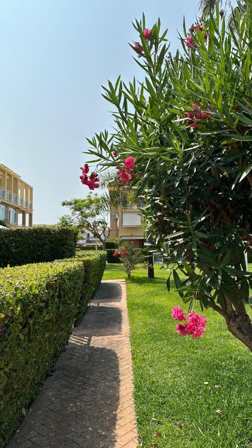 La Rosaleda 17 Lägenhet Denia Exteriör bild